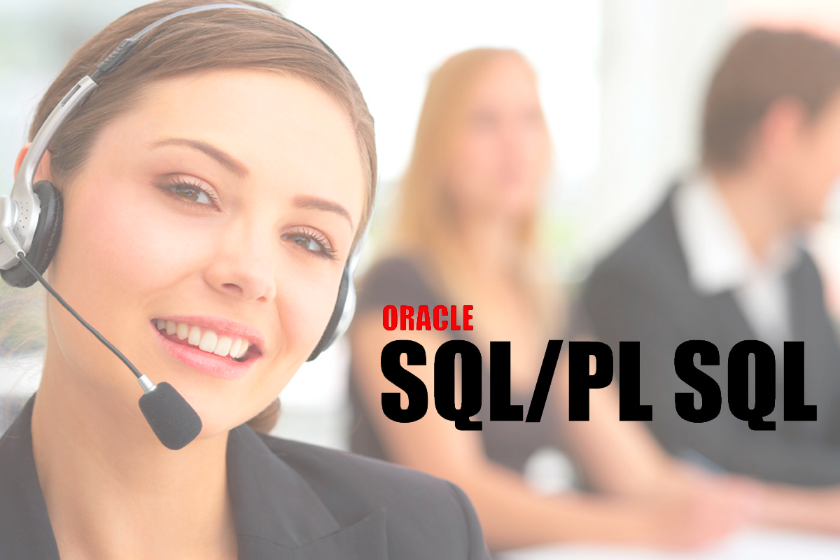 Oracle PL/PL SQL